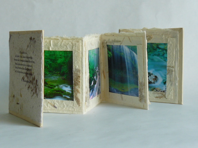 Diane Arsenault - Silence forestier