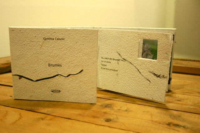 Cynthia Calusic - Brumes