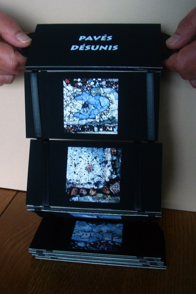 Raymonde Lamothe - Pavés désunis