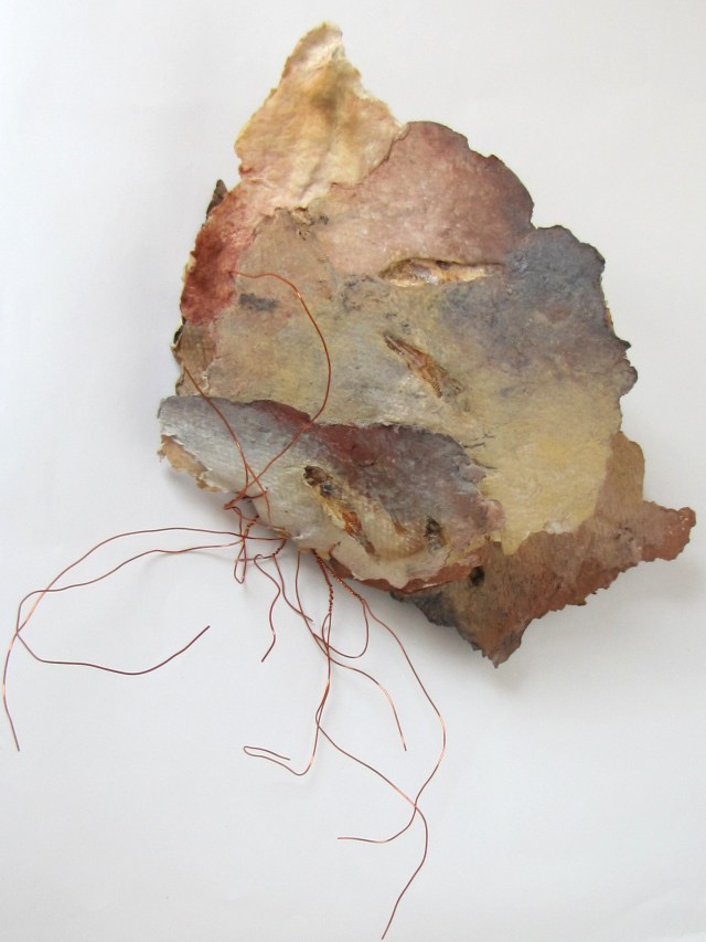 Dory's Tremblay - Fossiles