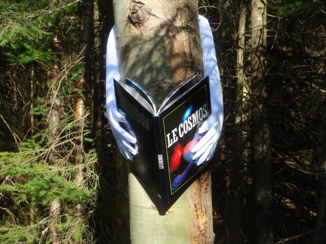 Raymonde Lamothe - La tête dans les étoiles