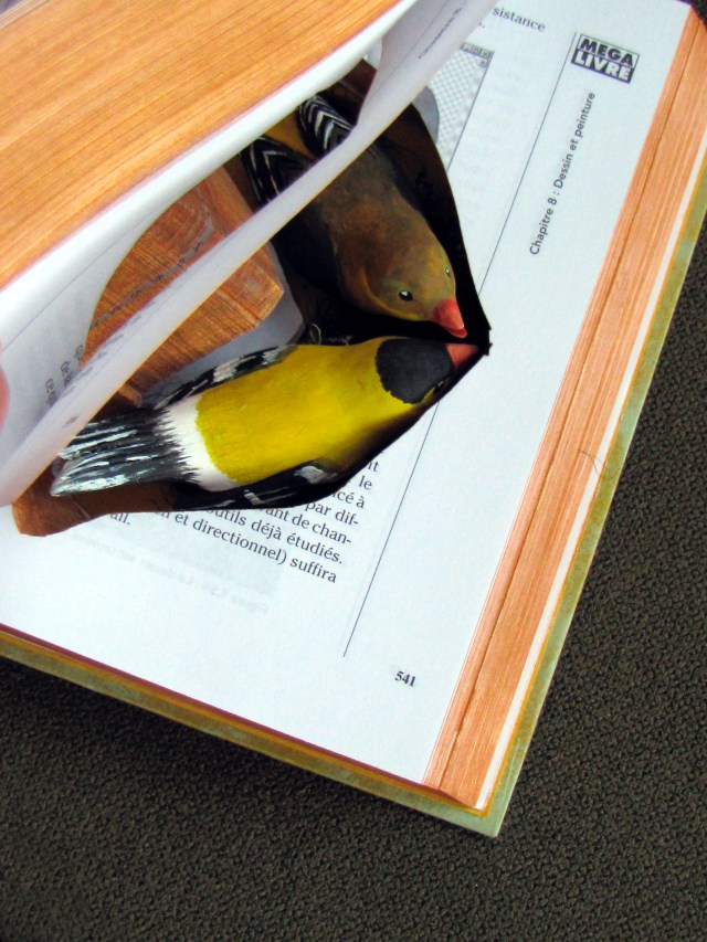 Dory's Tremblay - Ensemble tout est possible... - 350$