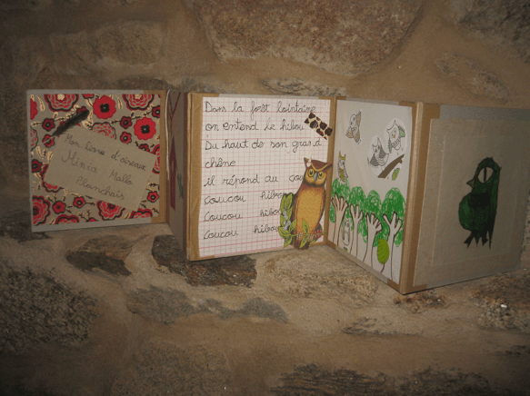 Minia Mallo Planchais - Mon livre d'oiseaux - 50 €