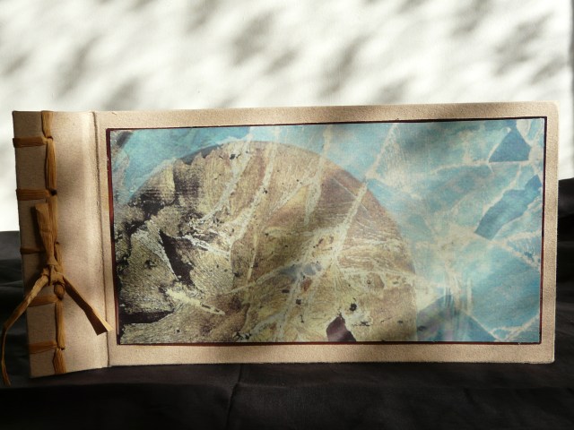 Joceline Morneau - Décollarts - mémoires sous l'image