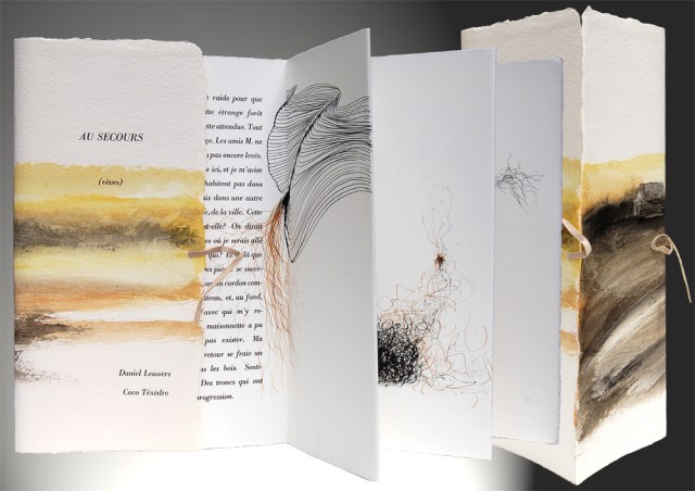 Coco-Téxèdre-Daniel-Leuwers-Au-secours-2014